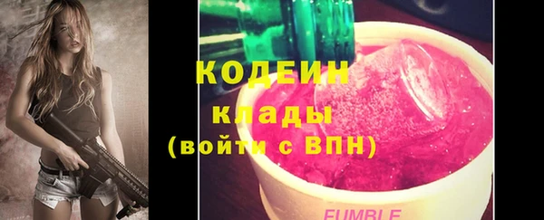 амф Верея