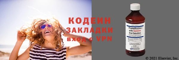 амф Верея