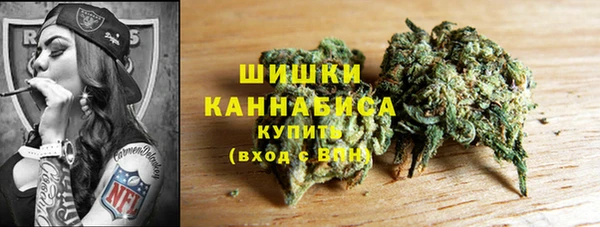 дживик Бронницы