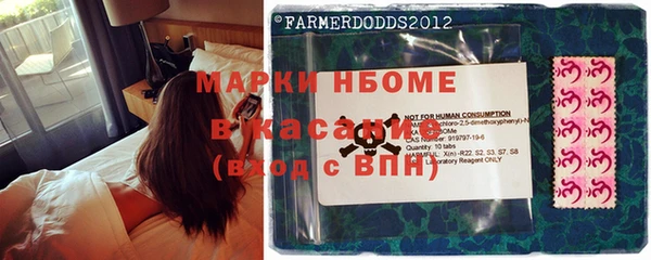 мяу мяу мука Бородино