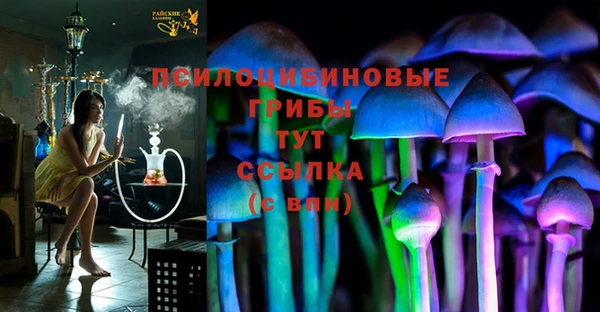 мяу мяу мука Бородино