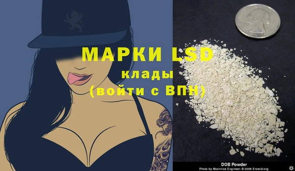 амф Верея